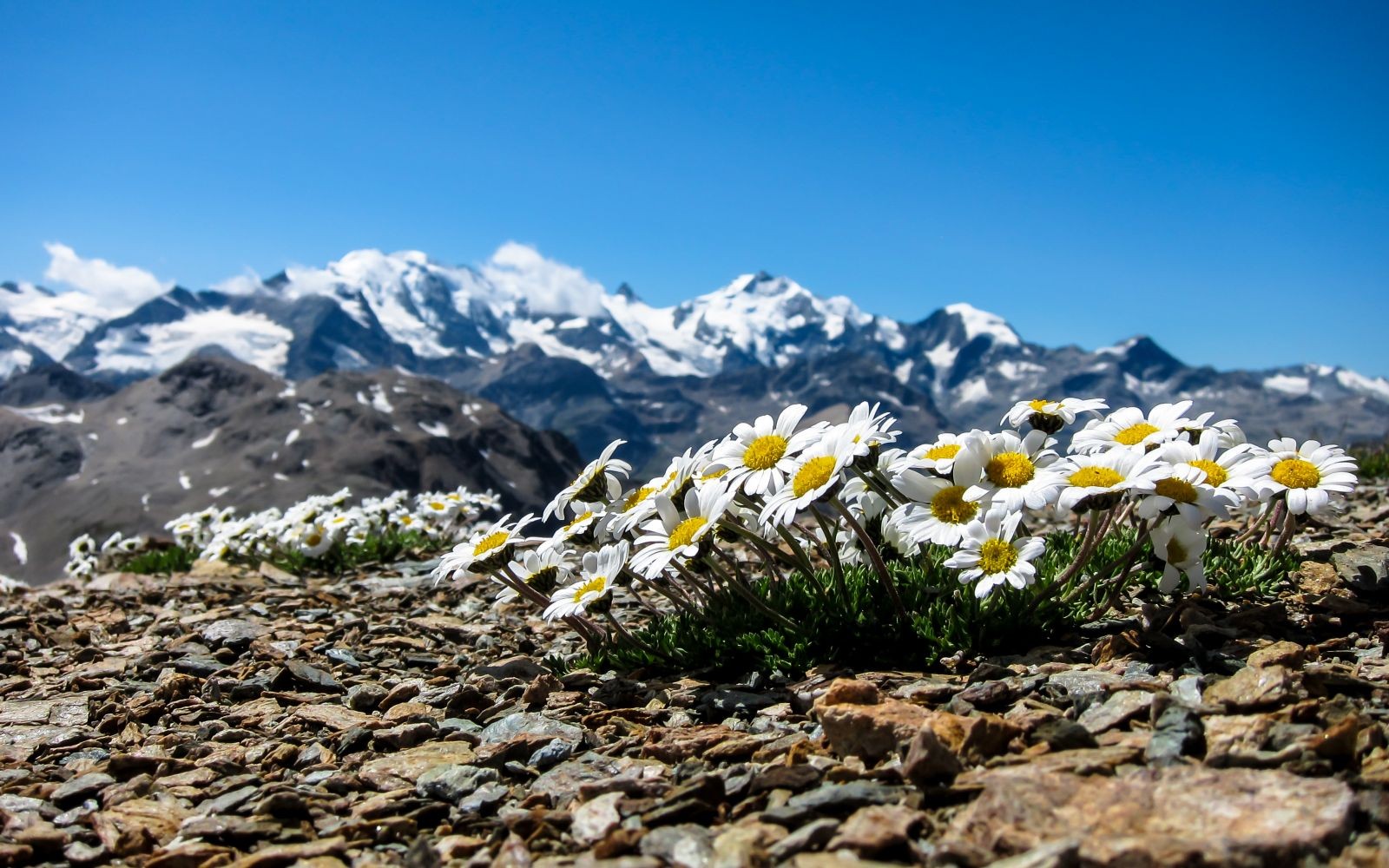 Outventure Livigno